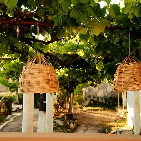 Kalimoukos فيلة